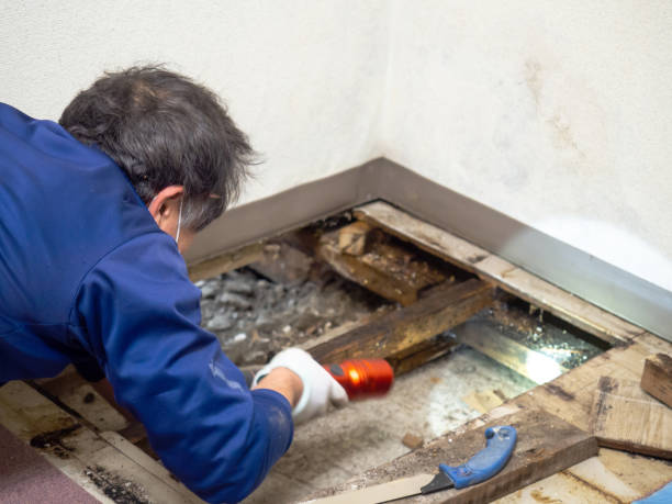 Best Crawl Space Mold Removal  in Aurora, NE