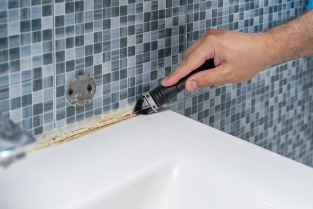 Best Mold Testing and Removal  in Aurora, NE
